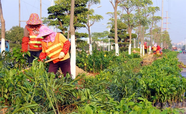 滁州绿化项目施工、维护